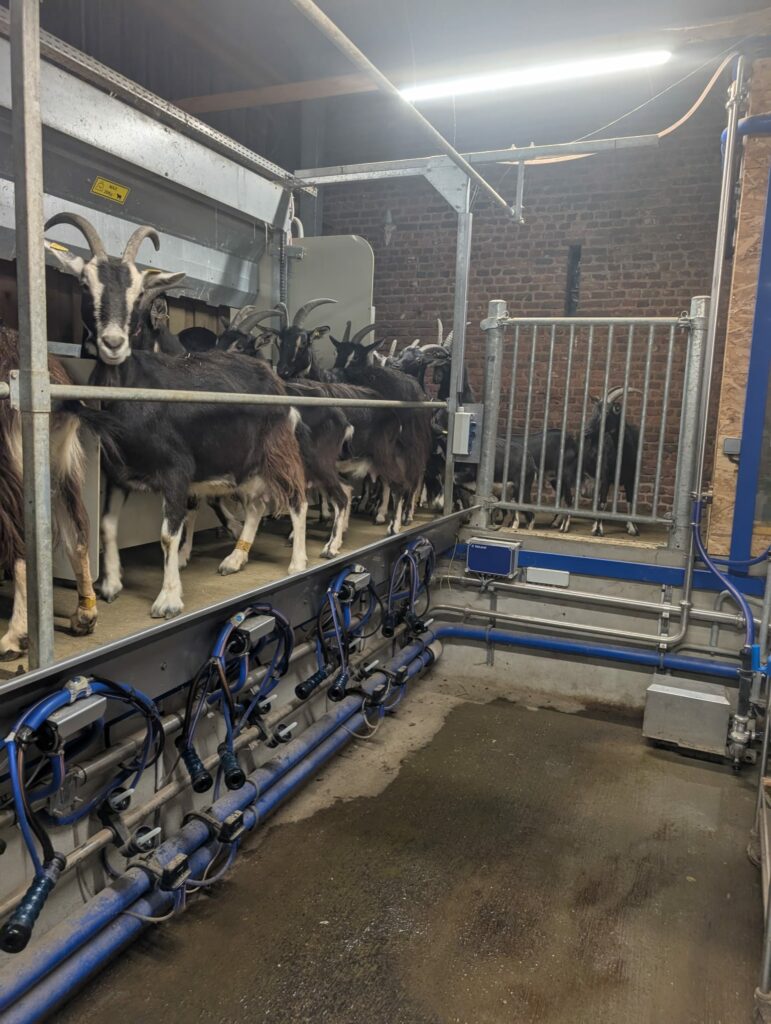 J4_a332d8fe-a941-44fd-b4d5-02178949ab3b