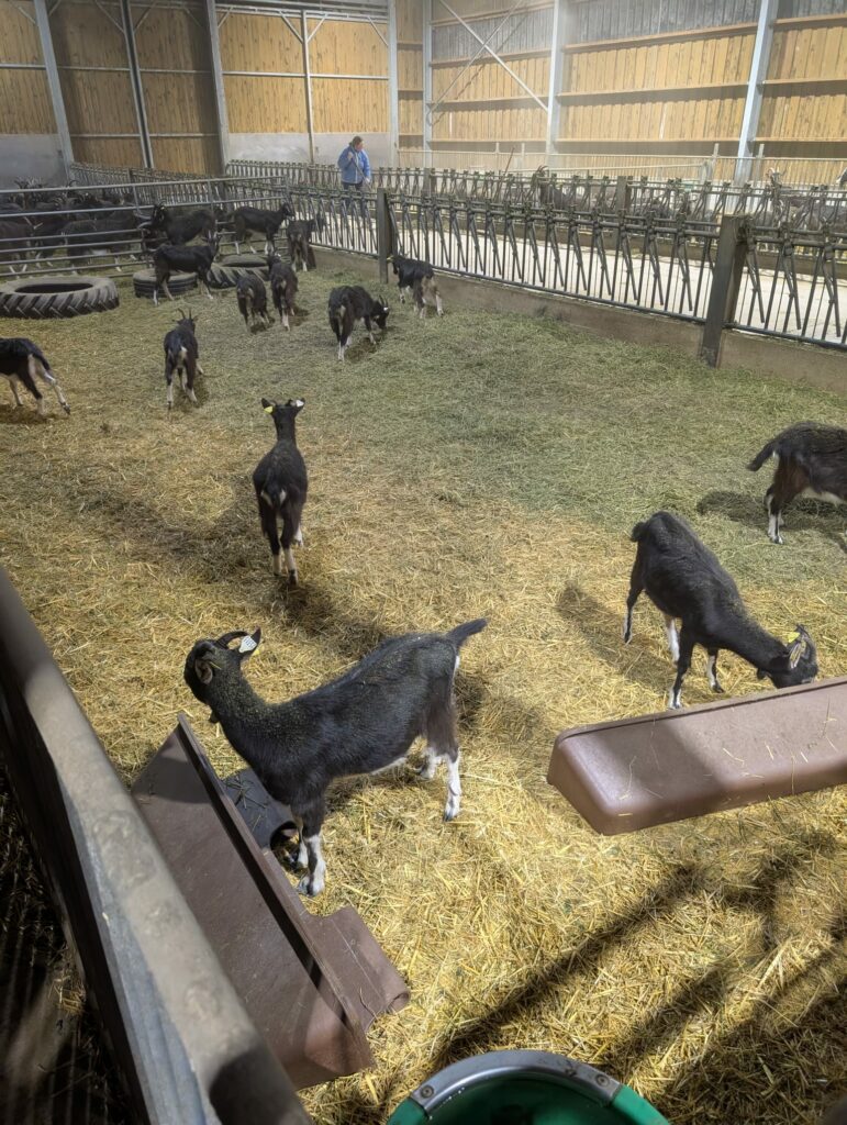 J4_f9caa8e1-b6d4-42f9-a929-5ed37a601cfe