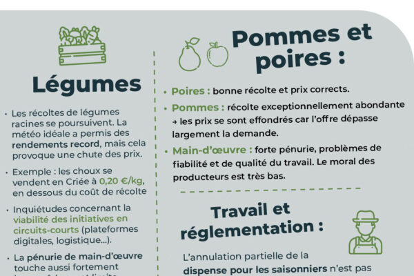 observatoire des prix novembre_110