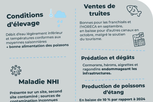 observatoire des prix novembre_112