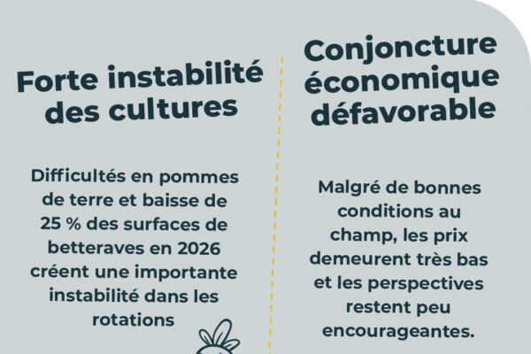 observatoire des prix novembre_13