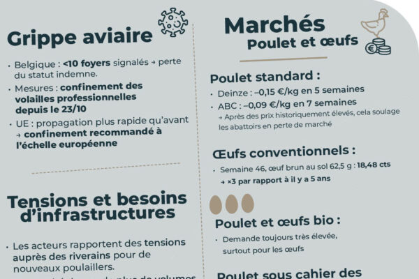 observatoire des prix novembre_17