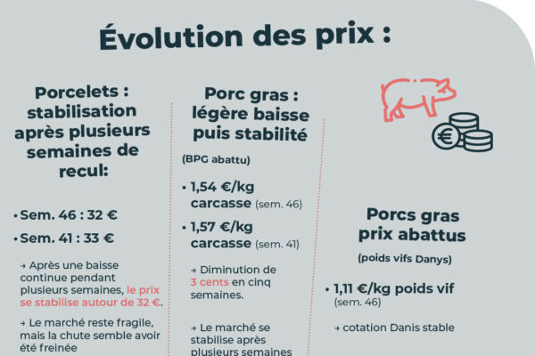 observatoire des prix novembre_18