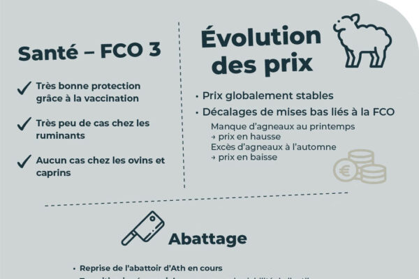 observatoire des prix novembre_19