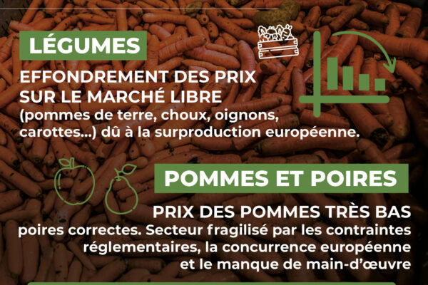 Observatoire_NT 64_Janvier26_10