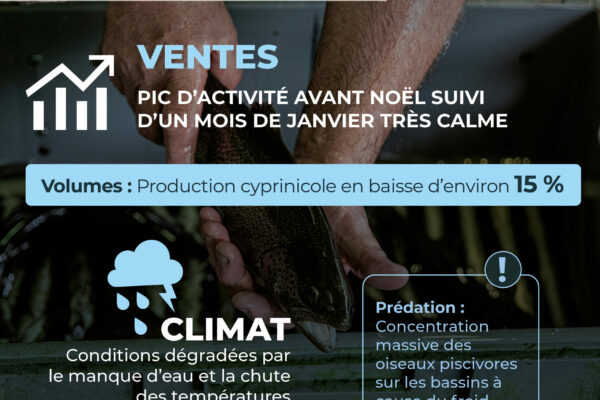 Observatoire_NT 64_Janvier26_12