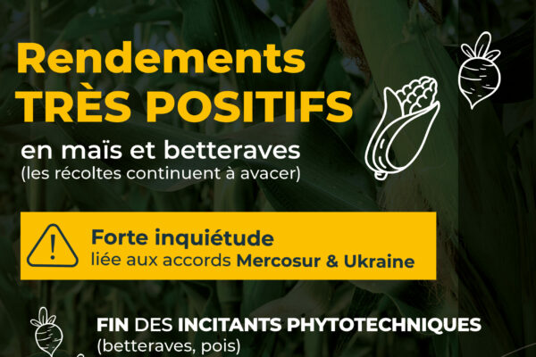 Observatoire_NT 64_Janvier26_3