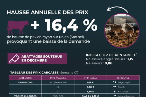 Observatoire_NT 64_Janvier26_6