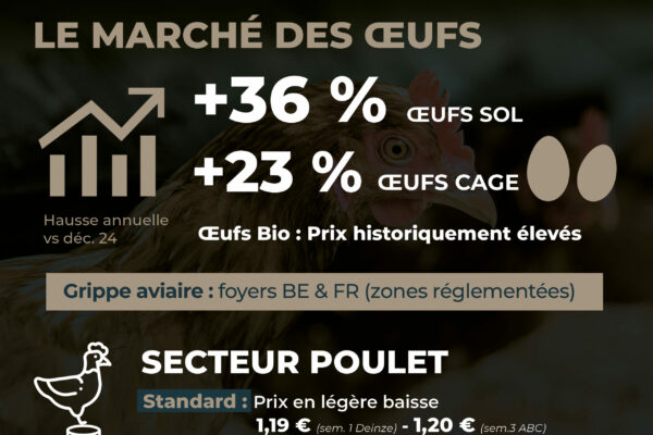 Observatoire_NT 64_Janvier26_7