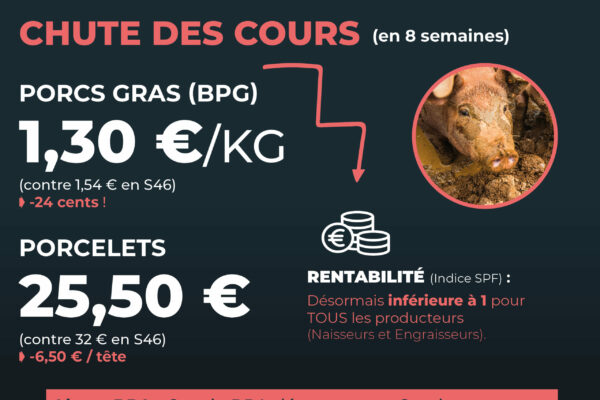 Observatoire_NT 64_Janvier26_8