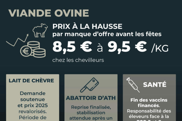 Observatoire_NT 64_Janvier26_9