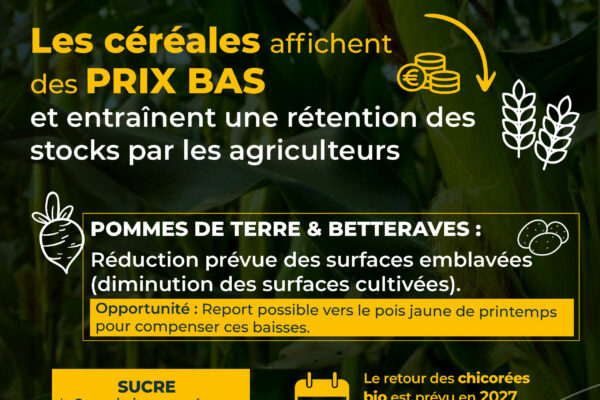 observatoire février-infographieCC_Page_03