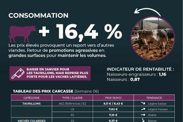 observatoire février-infographieCC_Page_06