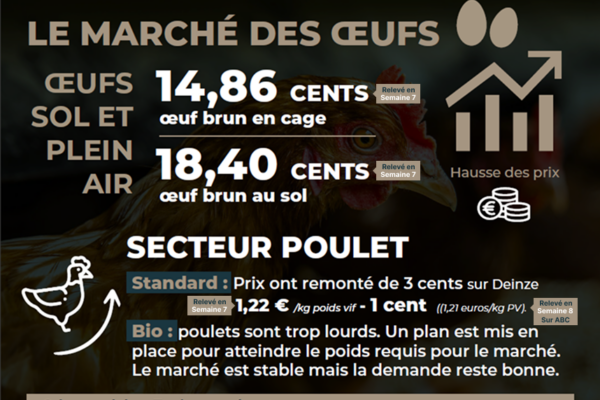 observatoire février-infographieCC_Page_07