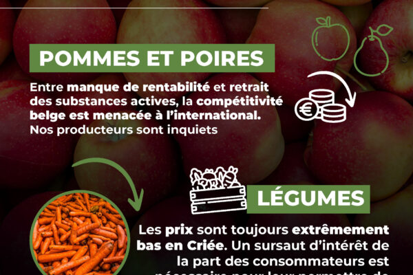 observatoire février-infographieCC_Page_09