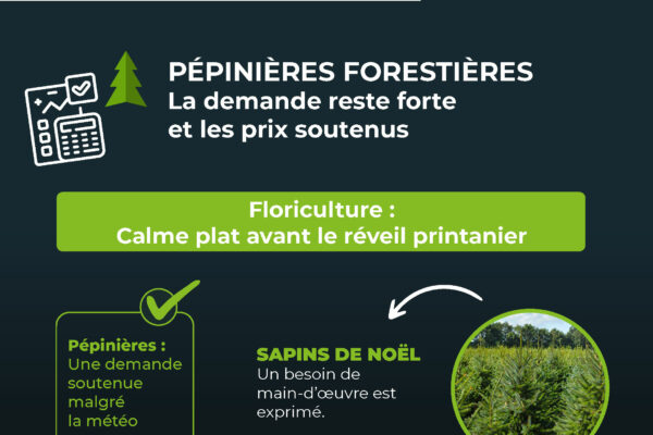 observatoire février-infographieCC_Page_10