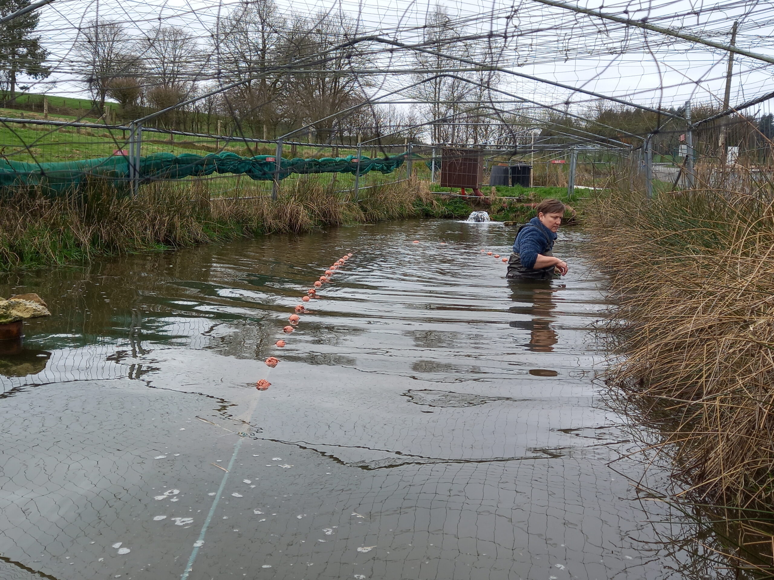 [Portrait] Angélique Gillet, piscicultrice : passion et savoir-faire au cœur de l’aquaculture wallonne
