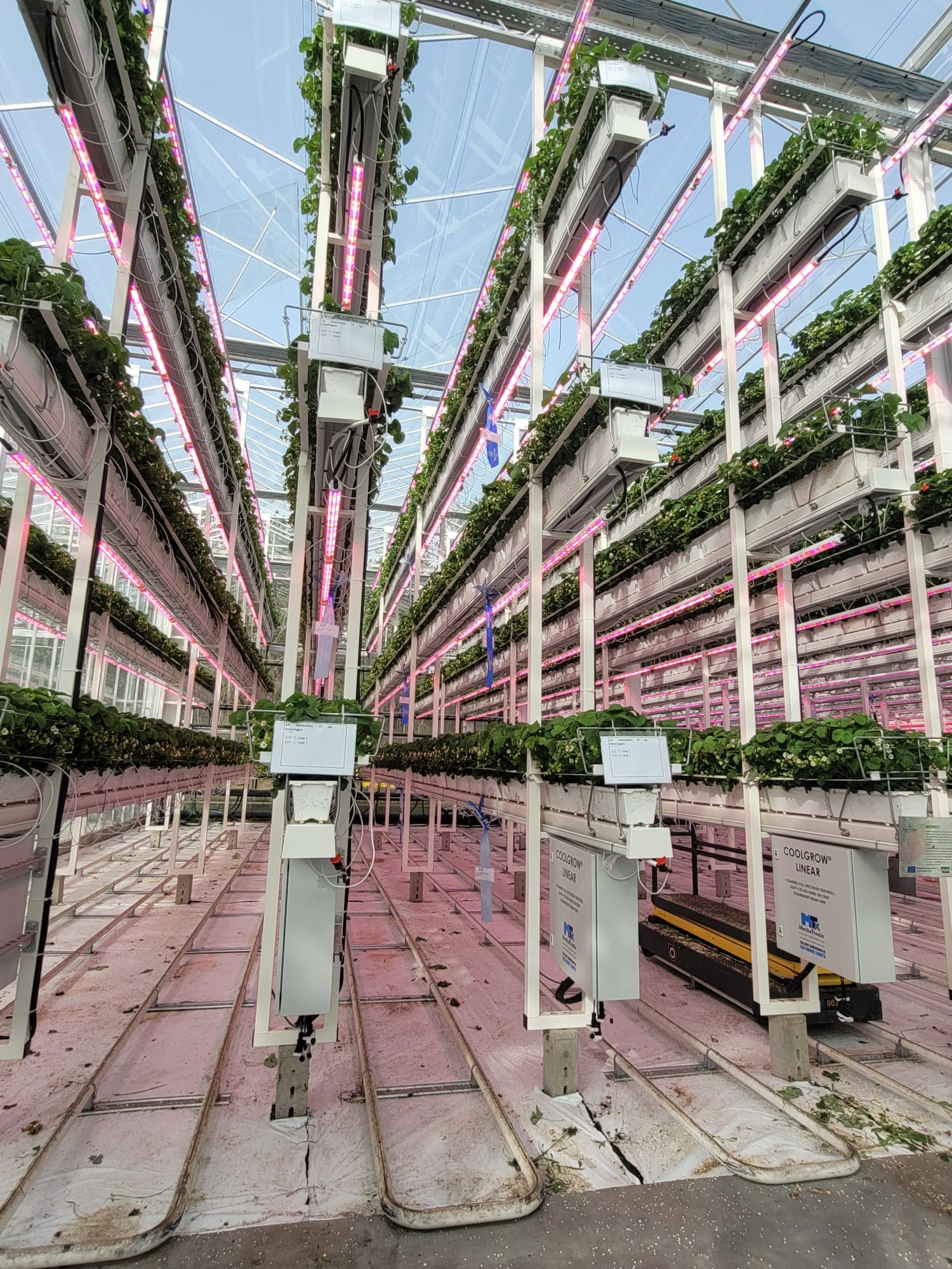 Visite du centre de recherche de Hoogstraten