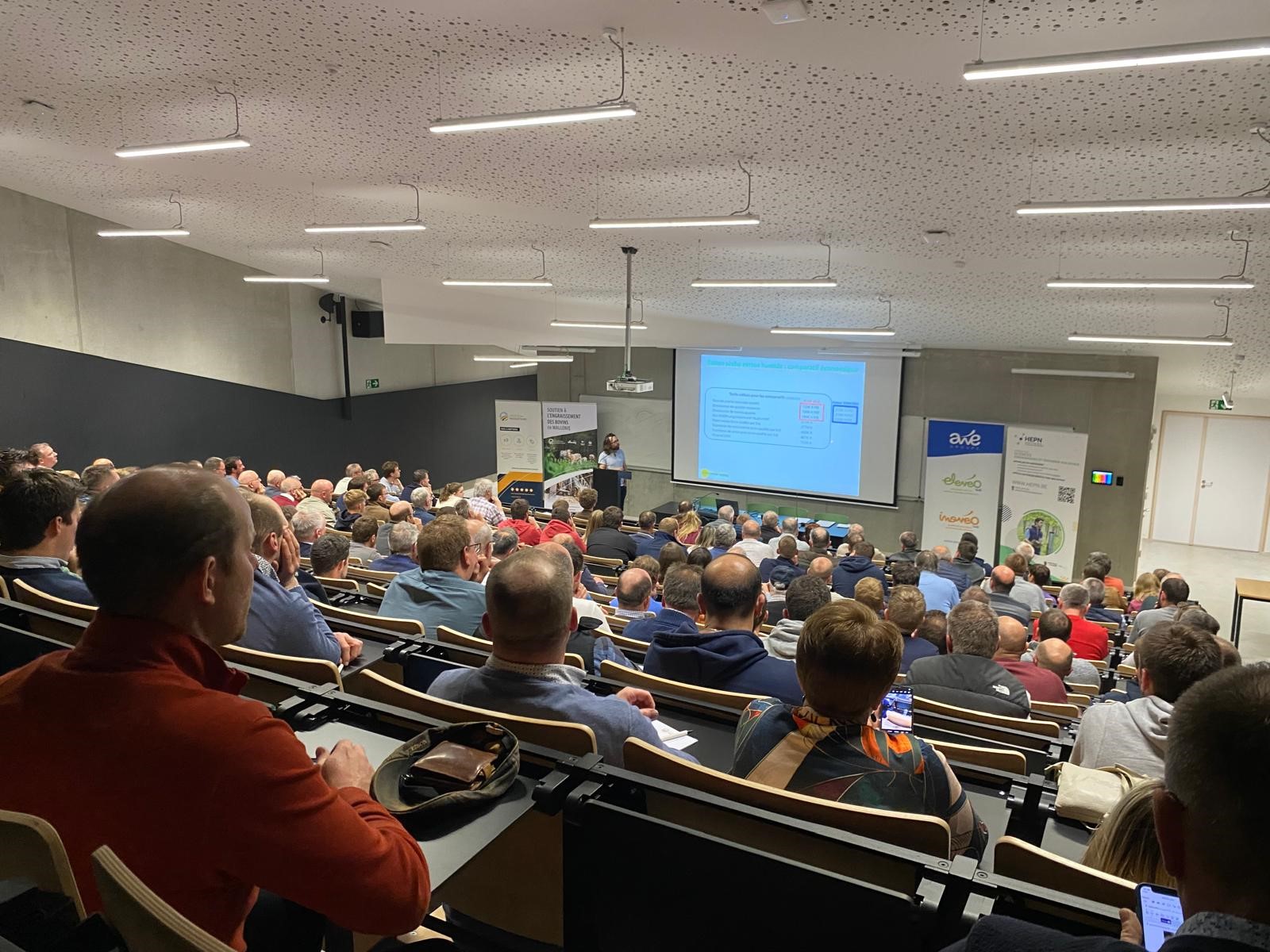 Engraisser ses bovins en Wallonie : retour d’expérience du projet d’accompagnement mené par Elevéo et le Collège des Producteurs