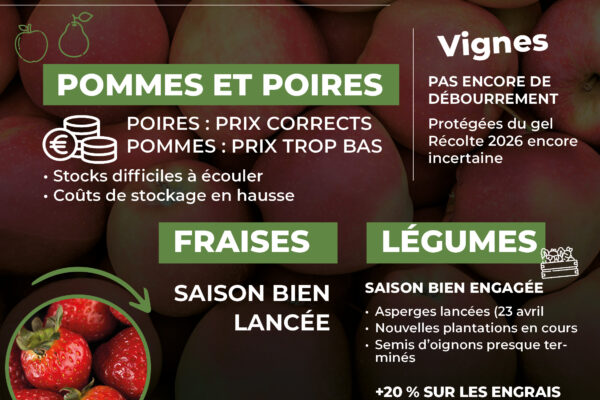 observatoire Avril_10