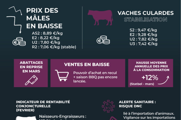 observatoire Avril_6