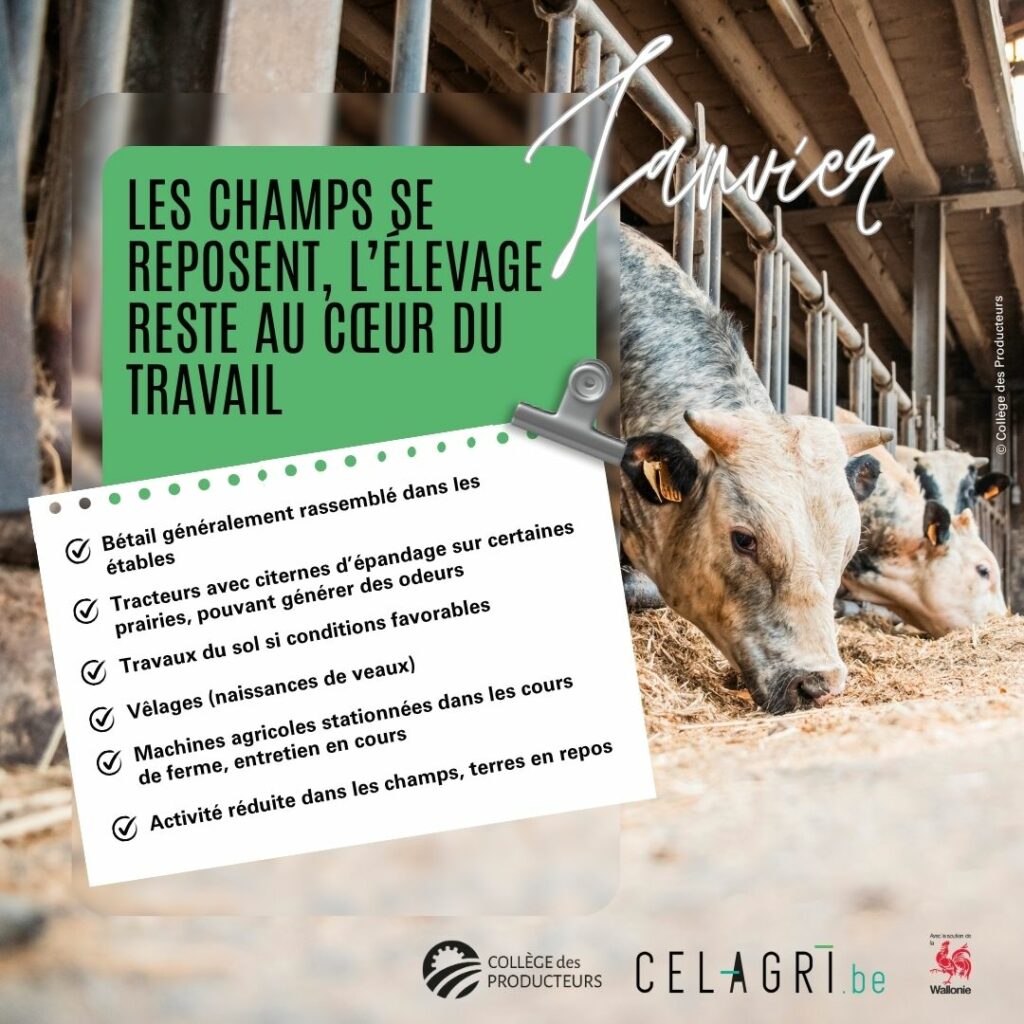 01-Janvier