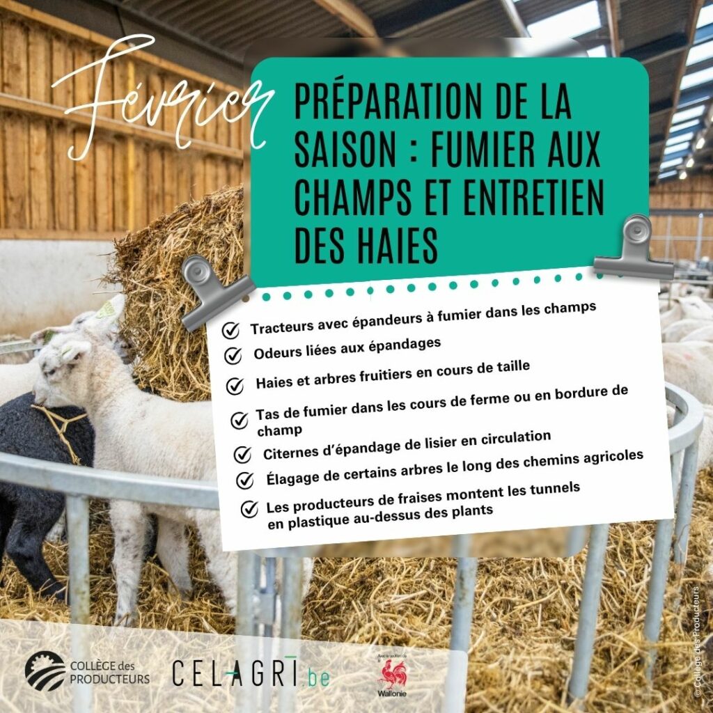 02-Février