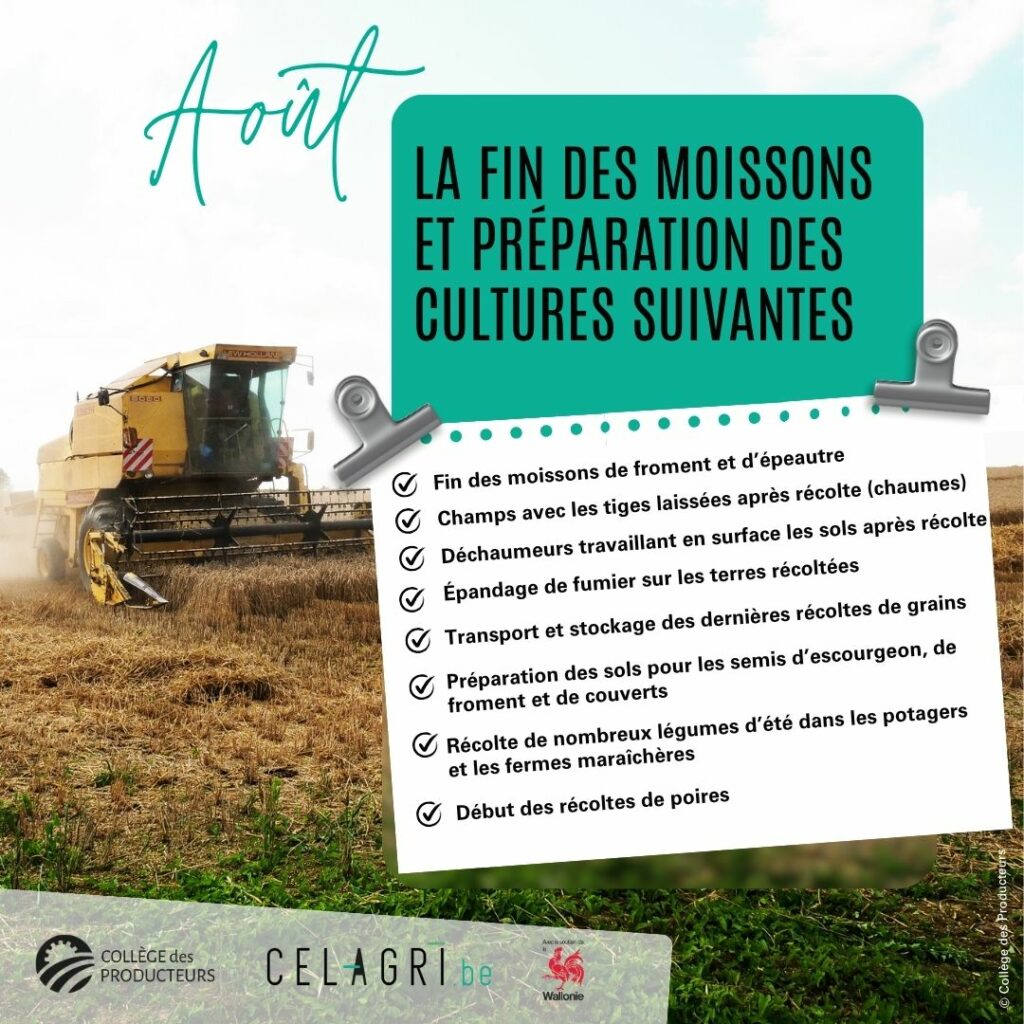 08-aout