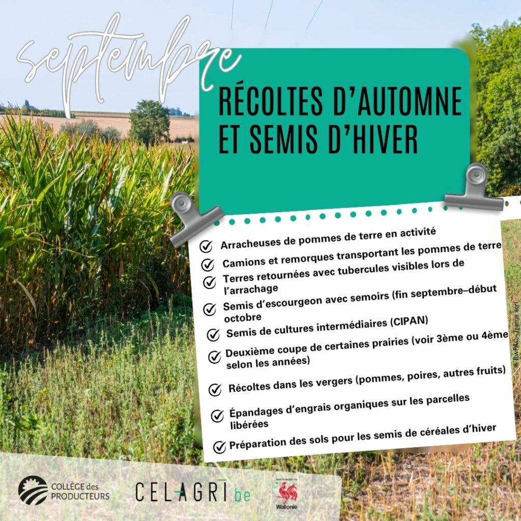 09-septembre