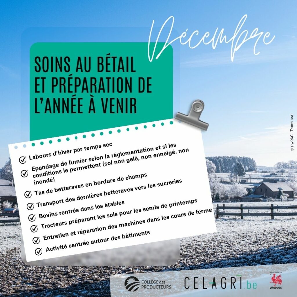 12-Décembre