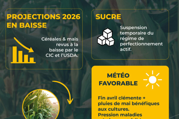 observatoire mai3