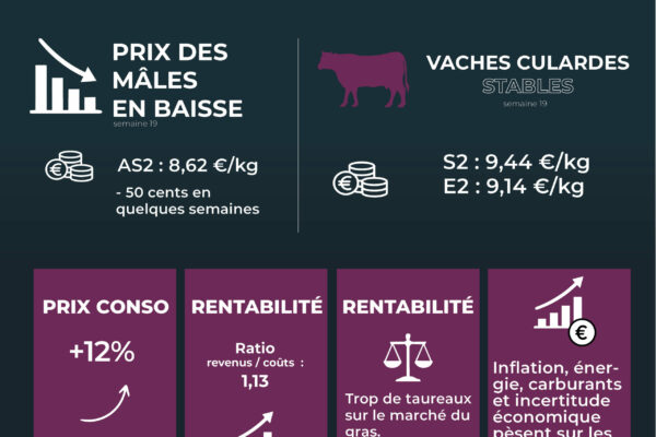 observatoire mai6