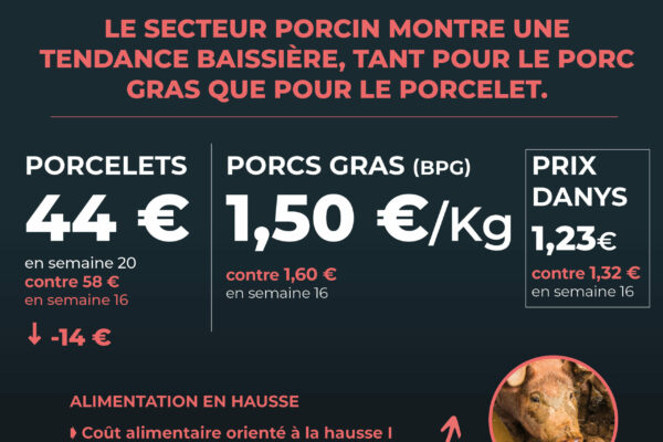observatoire mai8