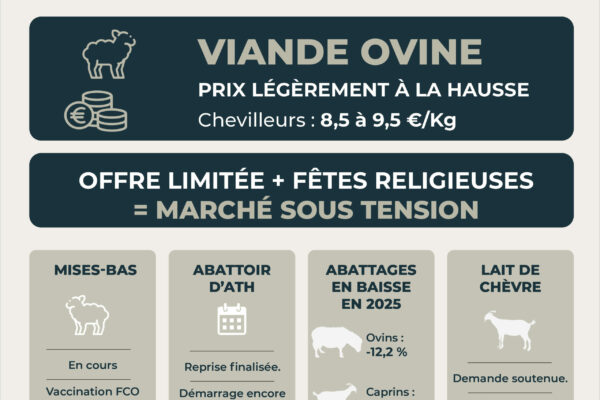 observatoire mai9